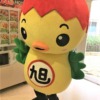 Thumbnail of related posts 034