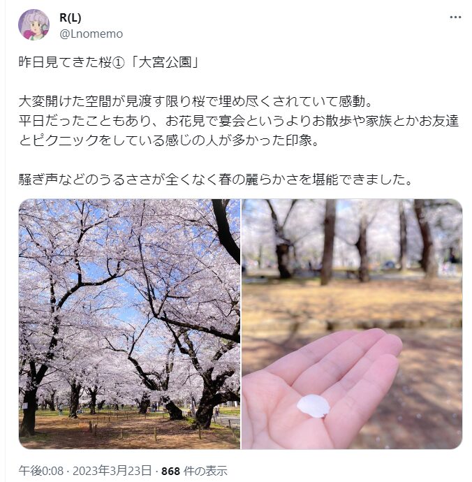 大宮公園　桜　混雑