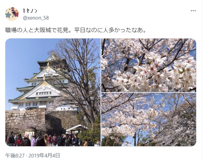 大阪城公園　桜　混雑