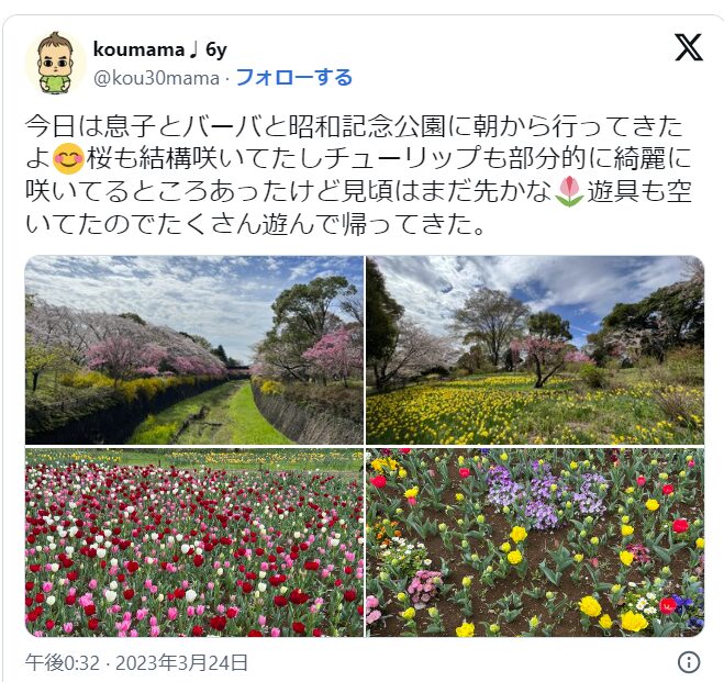 昭和記念公園　桜　混雑