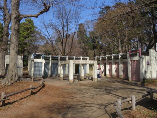 井の頭公園　桜　トイレ