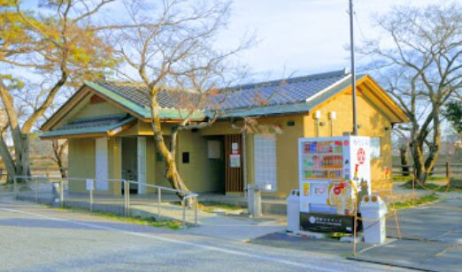 岡崎公園　桜　トイレ