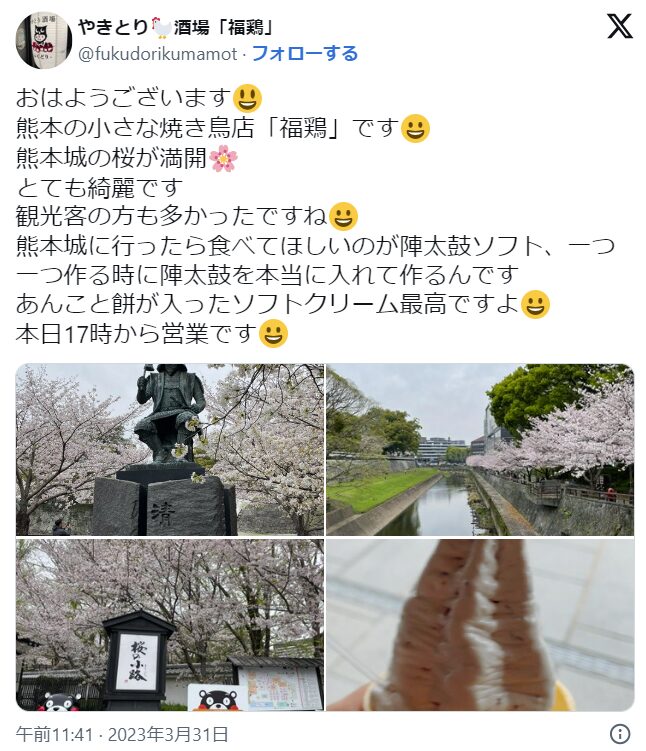 熊本城　桜　混雑