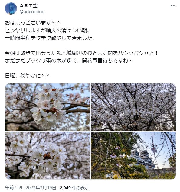 熊本城　桜　混雑