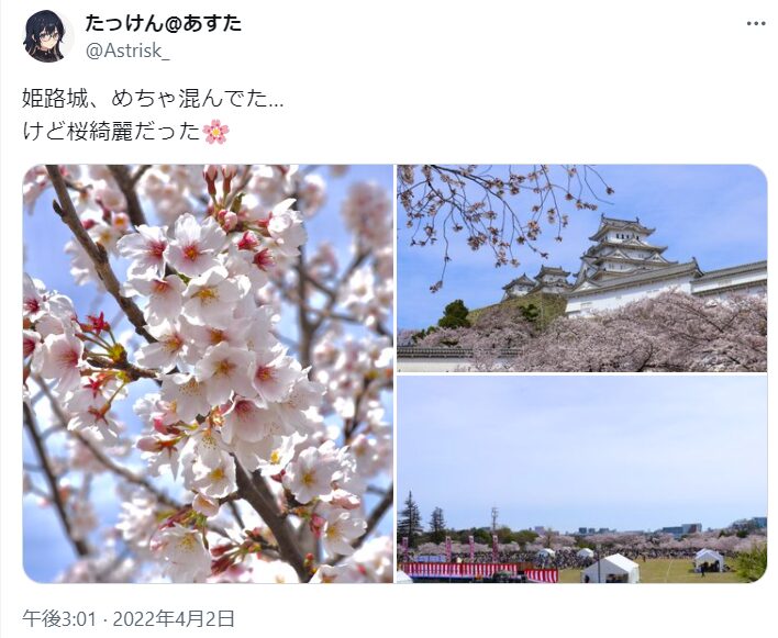 姫路城　桜　混雑