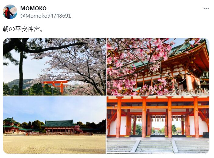 平安神宮　桜　混雑