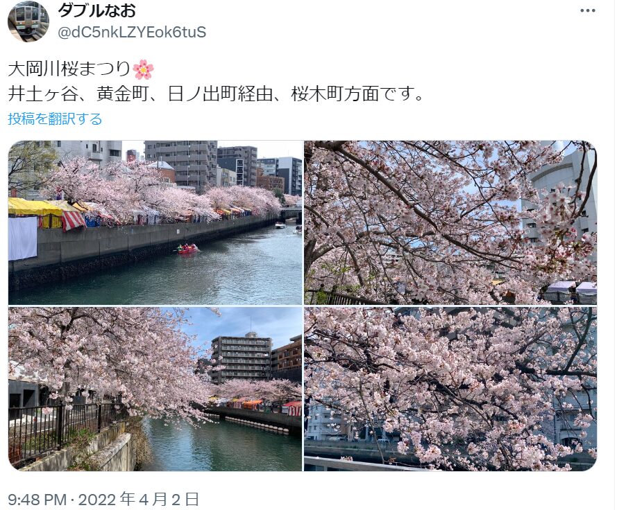 大岡川桜まつり　混雑