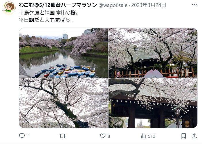 靖国神社　桜　混雑