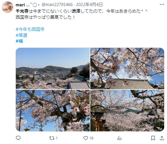 千光寺公園　桜　交通規制