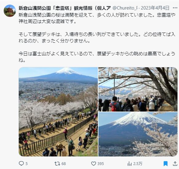 新倉山浅間公園　桜　混雑