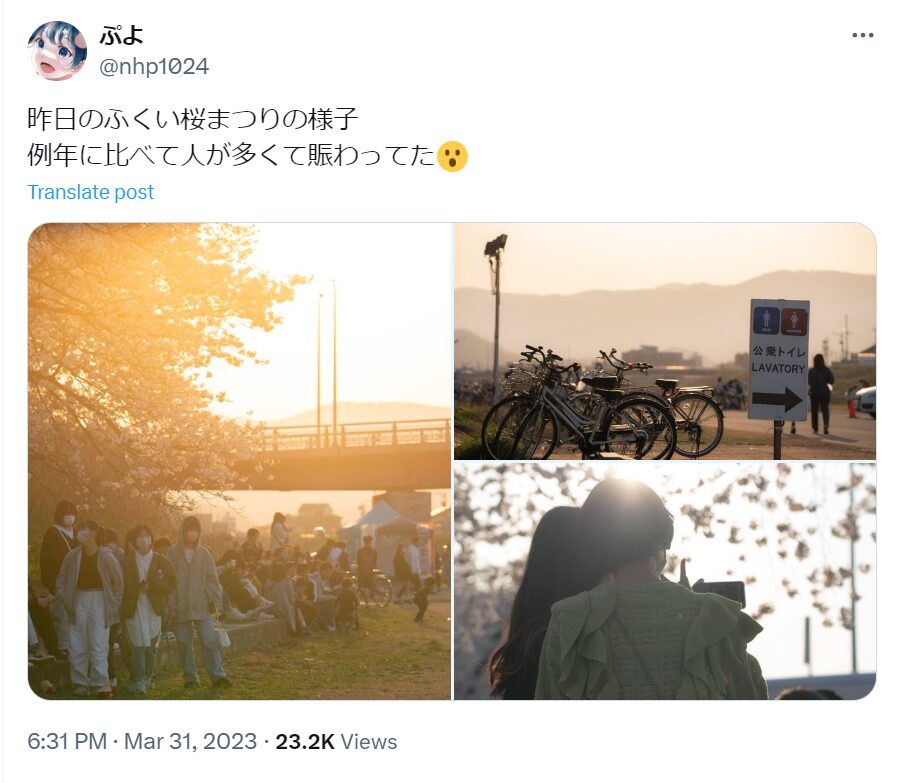 足羽川桜祭り　混雑