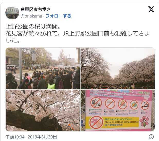 上野公園　桜　混雑