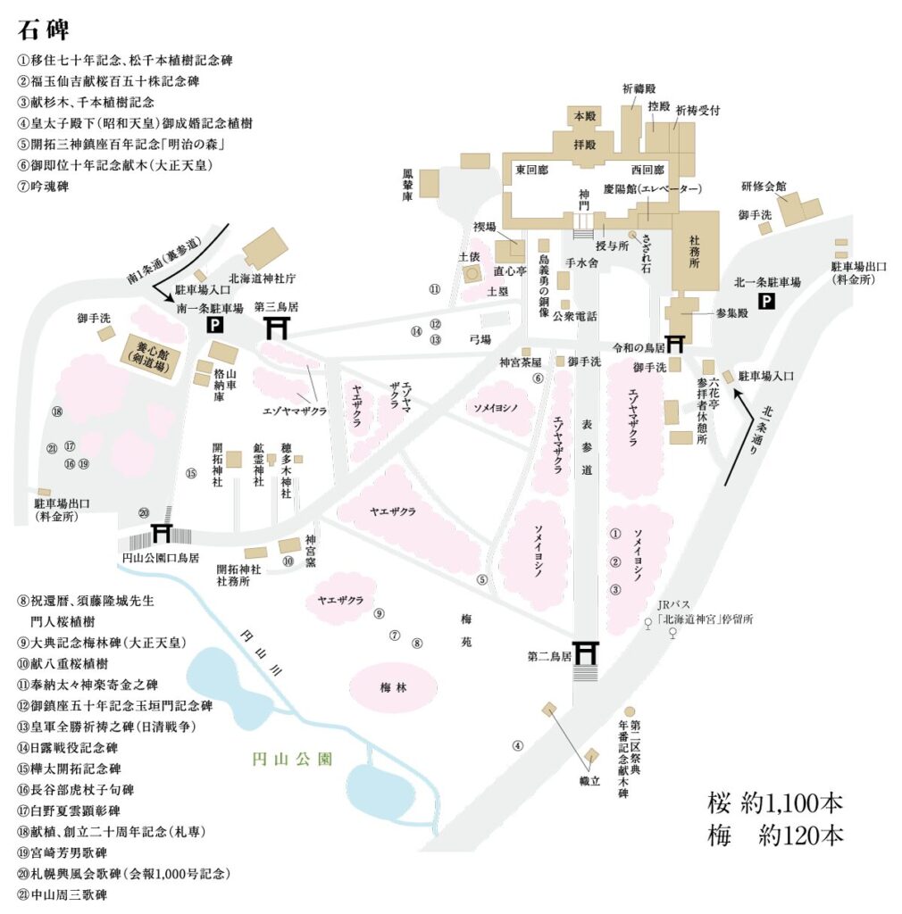 北海道神宮　桜　トイレ