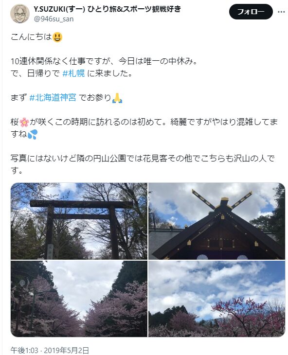 北海道神宮　桜　混雑