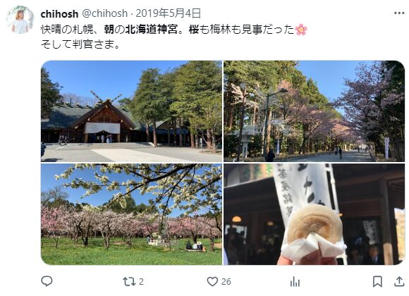 北海道神宮　桜　混雑
