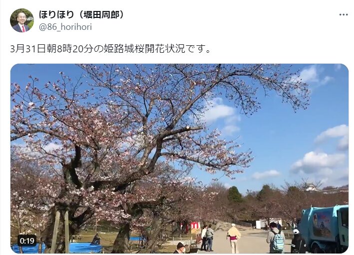 姫路城　桜　混雑