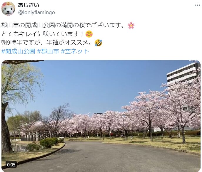 開成山公園　桜　混雑